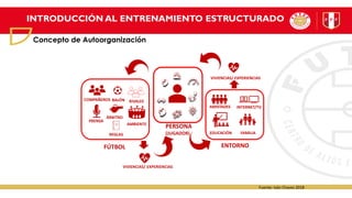 INTRODUCCIÓN AL ENTRENAMIENTO ESTRUCTURADO
Concepto de Autoorganización
PERSONA
(JUGADOR) EDUCACIÓN FAMILIA
COMPAÑEROS RIVALES
BALÓN
AMISTADES
ENTORNO
AMBIENTE
PRENSA
ÁRBITRO
REGLAS
FÚTBOL
INTERNET/TV
Fuente: Iván Chaves 2018
VIVIENCIAS/ EXPERIENCIAS
VIVIENCIAS/ EXPERIENCIAS
 