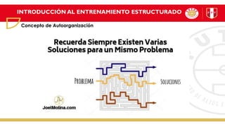 INTRODUCCIÓN AL ENTRENAMIENTO ESTRUCTURADO
Concepto de Autoorganización
 
