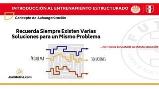 INTRODUCCIÓN AL ENTRENAMIENTO ESTRUCTURADO
Concepto de Autoorganización
…NO TODOS BUSCAMOS LA MISMA SOLUCIÓN
 