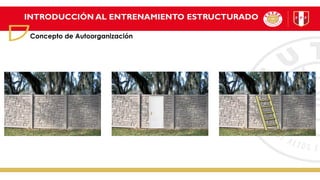 INTRODUCCIÓN AL ENTRENAMIENTO ESTRUCTURADO
Concepto de Autoorganización
 