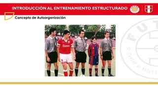 INTRODUCCIÓN AL ENTRENAMIENTO ESTRUCTURADO
Concepto de Autoorganización
 