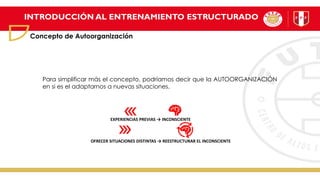 INTRODUCCIÓN AL ENTRENAMIENTO ESTRUCTURADO
Concepto de Autoorganización
Para simplificar más el concepto, podríamos decir que la AUTOORGANIZACIÓN
en si es el adaptarnos a nuevas situaciones.
EXPERIENCIAS PREVIAS → INCONSCIENTE
OFRECER SITUACIONES DISTINTAS → REESTRUCTURAR EL INCONSCIENTE
 