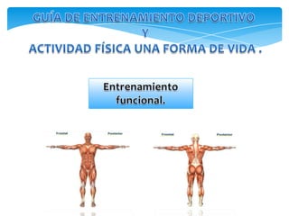 GUÍA DE ENTRENAMIENTO DEPORTIVO  Y ACTIVIDAD FÍSICA UNA FORMA DE VIDA . Entrenamiento funcional. 