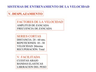SISTEMAS DE ENTRENAMIENTO DE LA VELOCIDAD
V. DESPLAZAMIENTO
FACTORES DE LA VELOCIDAD
AMPLITUD DE ZANCADA
FRECUENCIA DE ZANCADA

SERIES CORTAS
DISTANCIA: 20 - 60 mts.
REPETICIONES: 10 - 30
VELOCIDAD: Máxima
RECUPERACIÓN: Total

V. FACILITADA
CUESTAS ABAJO
BANDAS ELASTICAS
LIBERACION DEL PESO

 
