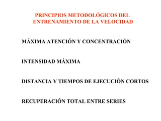 PRINCIPIOS METODOLÓGICOS DEL
ENTRENAMIENTO DE LA VELOCIDAD

MÁXIMA ATENCIÓN Y CONCENTRACIÓN

INTENSIDAD MÁXIMA

DISTANCIA Y TIEMPOS DE EJECUCIÓN CORTOS

RECUPERACIÓN TOTAL ENTRE SERIES

 