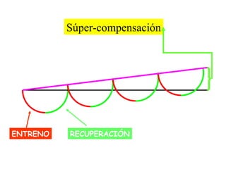 Súper-compensación

ENTRENO

RECUPERACIÓN

 
