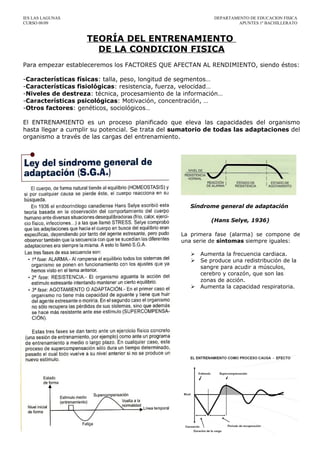 IES LAS LAGUNAS                                               DEPARTAMENTO DE EDUCACION FISICA
CURSO 08/09                                                            APUNTES 1º BACHILLERATO


                    TEORÍA DEL ENTRENAMIENTO
                      DE LA CONDICION FISICA
Para empezar estableceremos los FACTORES QUE AFECTAN AL RENDIMIENTO, siendo éstos:

-Características físicas: talla, peso, longitud de segmentos…
-Características fisiológicas: resistencia, fuerza, velocidad…
-Niveles de destreza: técnica, procesamiento de la información…
-Características psicológicas: Motivación, concentración, …
-Otros factores: genéticos, sociológicos…

El ENTRENAMIENTO es un proceso planificado que eleva las capacidades del organismo
hasta llegar a cumplir su potencial. Se trata del sumatorio de todas las adaptaciones del
organismo a través de las cargas del entrenamiento.




                                                     Síndrome general de adaptación

                                                            (Hans Selye, 1936)

                                                  La primera fase (alarma) se compone de
                                                  una serie de síntomas siempre iguales:

                                                        Aumenta la frecuencia cardiaca.
                                                        Se produce una redistribución de la
                                                         sangre para acudir a músculos,
                                                         cerebro y corazón, que son las
                                                         zonas de acción.
                                                        Aumenta la capacidad respiratoria.
 