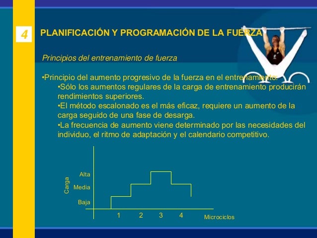 Los departamentos de la columna vertebral y la potencia