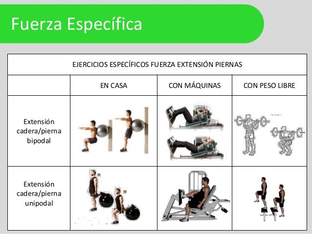 Entrenamiento de la fuerza