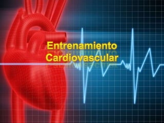 Entrenamiento Cardiovascular 