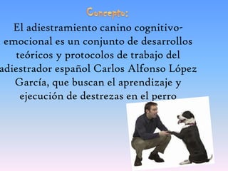 El adiestramiento canino cognitivoemocional es un conjunto de desarrollos
teóricos y protocolos de trabajo del
adiestrador español Carlos Alfonso López
García, que buscan el aprendizaje y
ejecución de destrezas en el perro