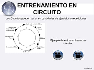ENTRENAMIENTO EN
              CIRCUITO
Los Circuitos pueden variar en cantidades de ejercicios y repeticiones.




                                      Ejemplo de entrenamientos en
                                                circuito:
 