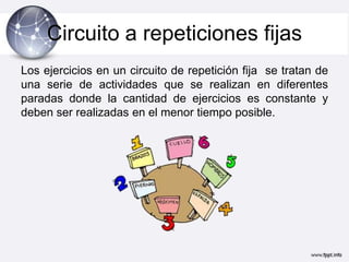 Circuito a repeticiones fijas
Los ejercicios en un circuito de repetición fija se tratan de
una serie de actividades que se realizan en diferentes
paradas donde la cantidad de ejercicios es constante y
deben ser realizadas en el menor tiempo posible.
 