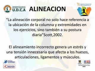“La alineación corporal no solo hace referencia a
la ubicación de la columna y extremidades en
los ejercicios, sino también a su postura
diaria”Scott,2002.
El alineamiento incorrecto genera un estrés y
una tensión innecesaria que afecta a los huesos,
articulaciones, ligamentos y músculos.
ALINEACION
 