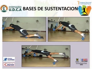 BASES DE SUSTENTACION
 