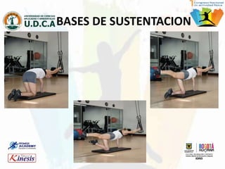 BASES DE SUSTENTACION
 