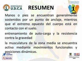 Manos o pies se encuentran generalmente
sostenidos por un punto de anclaje, mientras
que el extremo opuesto del cuerpo está en
contacto con el suelo.
entrenamiento de auto-carga y la resistencia
contra la gravedad
la musculatura de la zona media se encuentra
activa mediante movimientos funcionales y
posiciones dinámicas.
RESUMEN
 