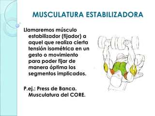 MUSCULATURA ESTABILIZADORA Llamaremos músculo estabilizador (fijador) a aquel que realiza cierta tensión isométrica en un gesto o movimiento para poder fijar de manera óptima los segmentos implicados. P.ej.: Press de Banca. Musculatura del CORE. 