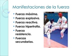 Manifestaciones de la fuerza Fuerza máxima. Fuerza explosiva. Fuerza reactiva. Fuerza hipertrofia. Fuerza resistencia. Fuerzas secundarias. 