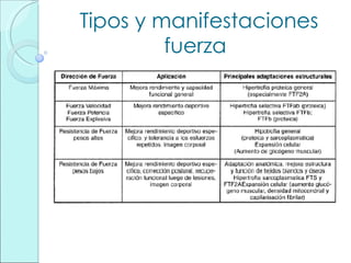 Tipos y manifestaciones fuerza 