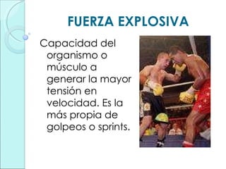 FUERZA EXPLOSIVA Capacidad del organismo o músculo a generar la mayor tensión en velocidad. Es la más propia de golpeos o sprints. 