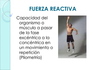 FUERZA REACTIVA Capacidad del organismo o músculo a pasar de la fase excéntrica a la concéntrica en un movimiento o repetición (Pliometría) 