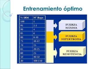 Entrenamiento óptimo 