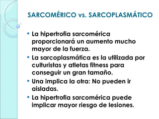 SARCOMÉRICO vs. SARCOPLASMÁTICO La hipertrofia sarcomérica proporcionará un aumento mucho mayor de la fuerza. La sarcoplasmática es la utilizada por culturistas y atletas fitness para conseguir un gran tamaño. Una implica la otra: No pueden ir aisladas. La hipertrofia sarcomérica puede implicar mayor riesgo de lesiones. 