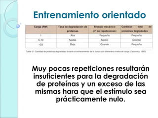 Entrenamiento orientado Muy pocas repeticiones resultarán insuficientes para la degradación de proteínas y un exceso de las mismas hara que el estímulo sea prácticamente nulo. 