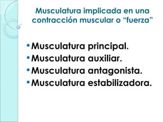 Musculatura implicada en una contracción muscular o “fuerza” Musculatura principal. Musculatura auxiliar. Musculatura antagonista. Musculatura estabilizadora. 