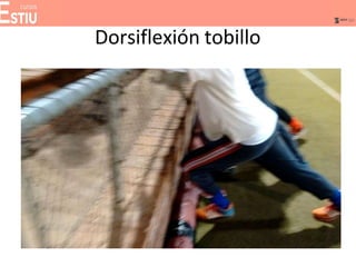 Dorsiflexión tobillo
 