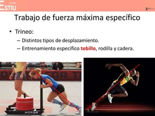 Trabajo de fuerza máxima específico
• Trineo:
– Distintos tipos de desplazamiento.
– Entrenamiento especifico tobillo, rodilla y cadera.
Kawamori N, et al 2014
 