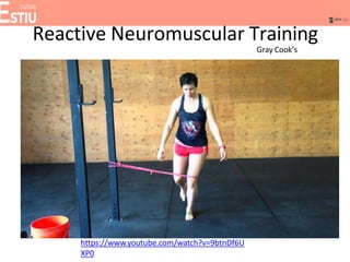 Reactive Neuromuscular Training
Gray Cook’s
https://www.youtube.com/watch?v=9btnDf6U
XP0
 