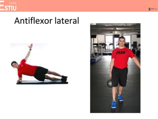 Antiflexor lateral
 