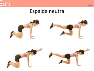 Espalda neutra
 