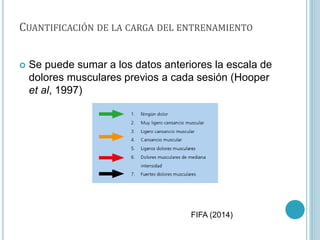 CUANTIFICACIÓN DE LA CARGA DEL ENTRENAMIENTO
 Se puede sumar a los datos anteriores la escala de
dolores musculares previos a cada sesión (Hooper
et al, 1997)
FIFA (2014)
 