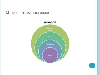 MICROCICLO ESTRUCTURADO
 