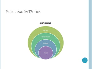 PERIODIZACIÓN TÁCTICA
 
