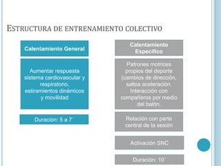 ESTRUCTURA DE ENTRENAMIENTO COLECTIVO
Calentamiento General
Aumentar respuesta
sistema cardiovascular y
respiratorio,
estiramientos dinámicos
y movilidad
Duración: 5 a 7´
Calentamiento
Específico
Patrones motrices
propios del deporte
(cambios de dirección,
saltos aceleración.
Interacción con
compañeros por medio
del balón.
Relación con parte
central de la sesión
Activación SNC
Duración: 10´
 