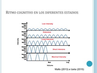 RITMO COGNITIVO EN LOS DIFERENTES ESTADIOS
Mallo (2013) e Izeta (2015)
 