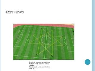 EXTENSIVOS
Circuito de físico con carrera liviana
3 x 8 (30´´ x 15´ descanso activo)
Pausa 2´
8 ejercicios de fuerza /coordinativos
Total: 24´
 