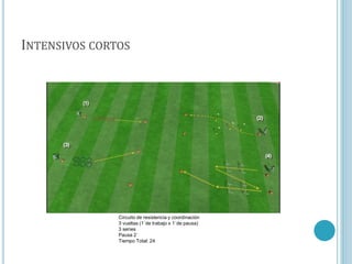 INTENSIVOS CORTOS
Circuito de resistencia y coordinación
3 vueltas (1´de trabajo x 1´de pausa)
3 series
Pausa 2´
Tiempo Total: 24
 