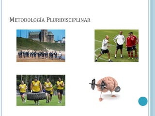 METODOLOGÍA PLURIDISCIPLINAR
 