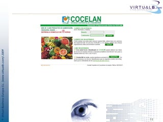 © Virtual Business Europa S.L. (www.virtualb.com) 2009




11
 