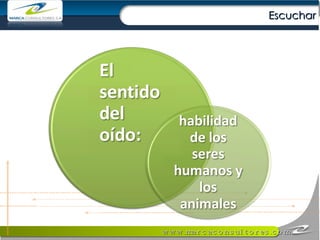Escuchar 