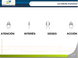 La mente humana ATENCIÓN  INTERÉS   DESEO  ACCIÓN 