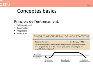 Conceptes bàsics
Principis de l’entrenament:
• Individualització
• Continuitat
• Progressió
• Adaptació
 