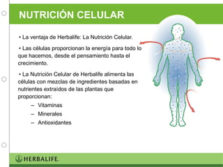 NUTRICIÓN CELULAR La ventaja de Herbalife: La Nutrición Celular. Las células proporcionan la energía para todo lo que hacemos, desde el pensamiento hasta el crecimiento. La Nutrición Celular de Herbalife alimenta las células con mezclas de ingredientes basadas en nutrientes extraídos de las plantas que proporcionan: Vitaminas Minerales Antioxidantes 
