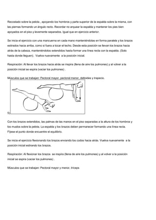 Recostado sobre la pelota , apoyando los hombros y parte superior de la espalda sobre la misma, con
las piernas formando un ángulo recto. Recordar no arquear la espalda y mantener los pies bien
apoyados en el piso y levemente separados. Igual que en ejercicio anterior.
Se inicia el ejercicio con una mancuerna en cada mano manteniéndolas en forma paralela y los brazos
estirados hacia arriba, como si fuera a tocar el techo. Desde esta posición se llevan los brazos hacia
atrás de la cabeza, manteniéndolos extendidos hasta formar una línea recta con la espalda. (Solo
hasta donde lleguen). Vuelva nuevamente a la posición inicial.
Respiración: Al llevar los brazos hacia atrás se inspira (llena de aire los pulmones) y al volver a la
posición inicial se espira (vaciar los pulmones) .
Músculos que se trabajan: Pectoral mayor, pectoral menor, deltoides y trapecio.
5)
Con los brazos extendidos, las palmas de las manos en el piso separadas a la altura de los hombros y
los muslos sobre la pelota. La espalda y los brazos deben permanecer formando una línea recta.
Fíjese el punto donde encuentre el equilibrio.
Se inicia el ejercicio flexionando los brazos enviando los codos hacia atrás. Vuelva nuevamente a la
posición inicial estirando los brazos.
Respiración: Al flexionar los brazos se inspira (llena de aire los pulmones) y al volver a la posición
inicial se espira (vaciar los pulmones) .
Músculos que se trabajan: Pectoral mayor y menor, tríceps
 