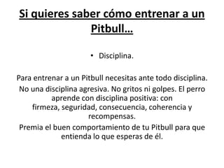 Si quieres saber cómo entrenar a un
              Pitbull…

                      • Disciplina.

Para entrenar a un Pitbull necesitas ante todo disciplina.
 No una disciplina agresiva. No gritos ni golpes. El perro
          aprende con disciplina positiva: con
    firmeza, seguridad, consecuencia, coherencia y
                     recompensas.
 Premia el buen comportamiento de tu Pitbull para que
             entienda lo que esperas de él.
 